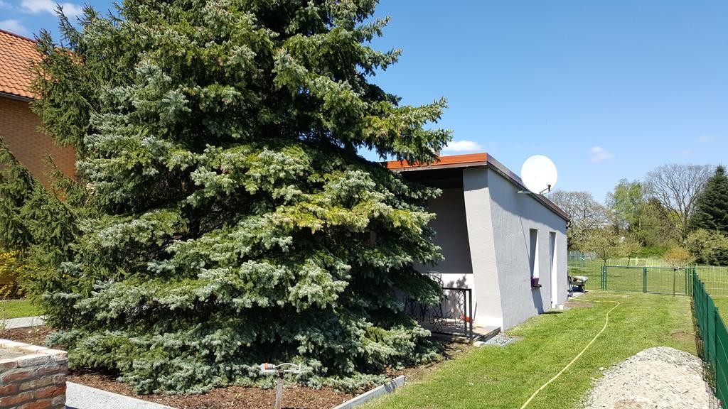 FeWo Schütz Langewahl Exterior foto
